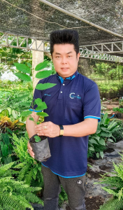 มรภ.เทพสตรี เดินหน้าอนุรักษ์พันธุ์พืชพื้นถิ่นเมืองลพบุรี นำน้อยหน่าพระนารายณ์มหาราช ทดลองปลูกในแปลงเกษตรผสมผสาน เตรียมขยายพันธุ์สู่ชุมชน