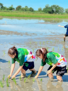 ศูนย์ส่งเสริมการจัดการศึกษาตามพระบรมราโชบาย สบจ. มรภ.เทพสตรี จัดโครงการสานต่อศาสตร์พระราชา นำนักศึกษาปี 1 เรียนรู้เศรษฐกิจพอเพียง ลงมือปฏิบัติจริงมุ่งใช้ชีวิตอย่างมีสุข