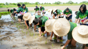 อธิการบดี นำทีมผู้บริหาร มรภ.เทพสตรี ลงพื้นที่ให้กำลังใจนักศึกษาใหม่ ร่วมสืบสานศาสตร์พระราชา สู่การประยุกต์ใช้ในชีวิตจริง