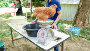 อธิการบดี นำทีมผู้บริหาร มรภ.เทพสตรี ลงพื้นที่ให้กำลังใจนักศึกษาใหม่ ร่วมสืบสานศาสตร์พระราชา สู่การประยุกต์ใช้ในชีวิตจริง