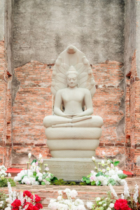 มรภ.เทพสตรี ร่วมกับภาคีเครือข่าย เปิดงานมหกรรมศิลปวัฒนธรรมและการท่องเที่ยว น้อมรำลึก พระเจ้าตากสินมหาราช ดึง Soft Power กระตุ้นเศรษฐกิจสร้างสรรค์