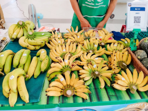 มรภ.เทพสตรี เปิดพื้นที่จัด ตลาดนัดเทพสตรี ครั้งที่ 3 หนุนเศรษฐกิจชุมชนและสร้างสัมพันธ์ร่วมกับท้องถิ่น