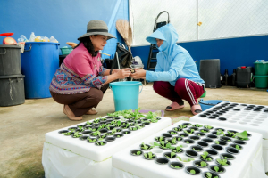 มรภ.เทพสตรี ลงพื้นที่ตรวจเยี่ยมและติดตามการดำเนินงานพัฒนาการเกษตร ณ อุทยานวิทยาศาสตร์สมเด็จพระนารายณ์