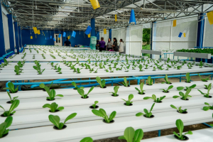 มรภ.เทพสตรี ลงพื้นที่ตรวจเยี่ยมและติดตามการดำเนินงานพัฒนาการเกษตร ณ อุทยานวิทยาศาสตร์สมเด็จพระนารายณ์
