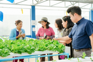 มรภ.เทพสตรี ลงพื้นที่ตรวจเยี่ยมและติดตามการดำเนินงานพัฒนาการเกษตร ณ อุทยานวิทยาศาสตร์สมเด็จพระนารายณ์