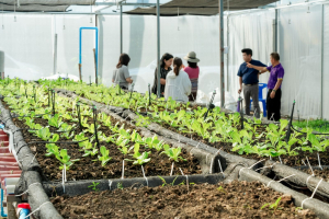 มรภ.เทพสตรี ลงพื้นที่ตรวจเยี่ยมและติดตามการดำเนินงานพัฒนาการเกษตร ณ อุทยานวิทยาศาสตร์สมเด็จพระนารายณ์