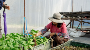 มรภ.เทพสตรี ลงพื้นที่ตรวจเยี่ยมและติดตามการดำเนินงานพัฒนาการเกษตร ณ อุทยานวิทยาศาสตร์สมเด็จพระนารายณ์