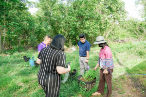 มรภ.เทพสตรี ลงพื้นที่ตรวจเยี่ยมและติดตามการดำเนินงานพัฒนาการเกษตร ณ อุทยานวิทยาศาสตร์สมเด็จพระนารายณ์