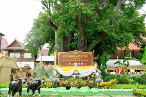 มรภ.เทพสตรี ร่วมพิธีเปิดงาน 1 อำเภอ 1 ลานสร้างสรรค์ จ.ลพบุรี ชูพื้นที่วัดไลย์ ยกระดับวัฒนธรรมลุ่มน้ำบางขาม สู่เศรษฐกิจชุมชน