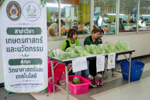 รองผู้ว่าราชการ จ.ลพบุรี เดินตลาดนัดเทพสตรี เน้นพร้อมสนับสนุนการขับเคลื่อนเศรษฐกิจชุมชน มุ่งสร้างรายได้ฐานรากและส่งเสริมคุณภาพชีวิตคนในท้องถิ่น