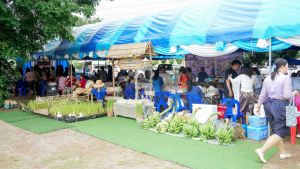 มรภ.เทพสตรี ร่วมเปิดงาน 1 อำเภอ 1 ลานสร้างสรรค์ สระโบสถ์ ชูทุนวัฒนธรรมสืบสานภูมิปัญญา มุ่งสู่เศรษฐกิจสร้างสรรค์