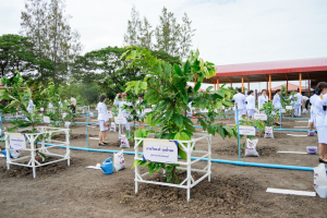 มรภ.เทพสตรี ร่วมกิจกรรมเนื่องในวันคล้ายวันพระราชสมภพสมเด็จพระนางเจ้าสิริกิติ์ พระบรมราชินีนาถ พระบรมราชชนนีพันปีหลวง และวันแม่แห่งชาติ 12 สิงหาคม 2569