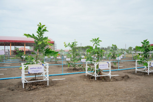 มรภ.เทพสตรี ร่วมกิจกรรมเนื่องในวันคล้ายวันพระราชสมภพสมเด็จพระนางเจ้าสิริกิติ์ พระบรมราชินีนาถ พระบรมราชชนนีพันปีหลวง และวันแม่แห่งชาติ 12 สิงหาคม 2569