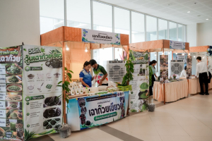 คณะวิทยาศาสตร์ฯ มรภ.เทพสตรี ร่วมกับภาคีเครือข่าย จัดงานสัปดาห์วิทยาศาสตร์แห่งชาติ ส่วนภูมิภาค ประจำปี พ.ศ. 2569 Intelligence Science for a Sustainable Future
