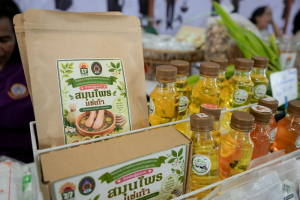 คณะวิทยาศาสตร์ฯ มรภ.เทพสตรี ร่วมกับภาคีเครือข่าย จัดงานสัปดาห์วิทยาศาสตร์แห่งชาติ ส่วนภูมิภาค ประจำปี พ.ศ. 2569 Intelligence Science for a Sustainable Future
