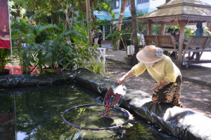 สำนักศิลปะและวัฒนธรรมจัดโครงการสืบสานประเพณีลอยกระทง