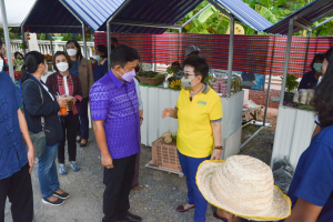 พิธีเปิดตลาด 9 เพ(ร)าะสุข