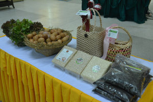 คณะมนุษยศาสตร์และสังคมศาสตร์ มหาวิทยาลัยราชภัฏพระนคร ศึกษาดูงานศูนย์ส่งเสริมการจัดการศึกษาตามพระบรมราโชบาย มหาวิทยาลัยราชภัฏเทพสตรี อ.บางระจัน จ.สิงห์บุรี