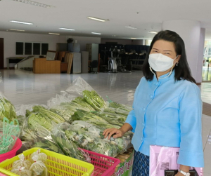 ศูนย์ส่งเสริมการจัดการศึกษาตามพระบรมราโชบาย มรท. อ.บางระจัน จ.สิงห์บุรี ออกบูธจำหน่ายผักปลอดสารพิษและผลผลิตทางการเกษตร