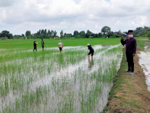 กองพัฒนา นศ. จัดอบรมคุณธรรมจริยธรรมตามศาสตร์พระราชาฯ