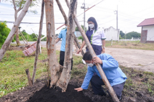 มรท. จัดกิจกรรมปลูกต้นไม้เฉลิมพระเกียรติ สมเด็จพระนางเจ้าสิริกิติ์ พระบรมราชินีนาถ พระบรมราชชนนีพันปีหลวง