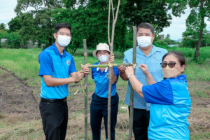 มรท. จัดกิจกรรมปลูกต้นไม้เฉลิมพระเกียรติ สมเด็จพระนางเจ้าสิริกิติ์ พระบรมราชินีนาถ พระบรมราชชนนีพันปีหลวง