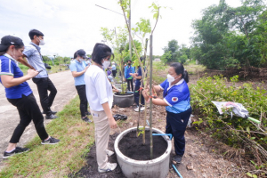 มรท. จัดกิจกรรมปลูกต้นไม้เฉลิมพระเกียรติ สมเด็จพระนางเจ้าสิริกิติ์ พระบรมราชินีนาถ พระบรมราชชนนีพันปีหลวง