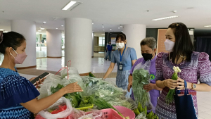 ศูนย์ส่งเสริมการจัดการศึกษาตามพระบรมราโชบาย มรท. อ.บางระจัน จ.สิงห์บุรี ออกบูธจำหน่ายผักปลอดสารพิษและผลผลิตทางการเกษตร
