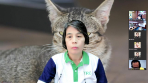 การประชุมหารือเกี่ยวกับข้อบังคับ มรท. ว่าด้วยการประเมินผลการศึกษาระดับปริญญาตรี พ.ศ.2551 ครั้งที่ 1/66