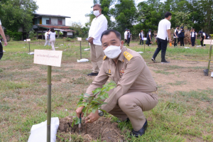 มรท. ร่วมพิธีเจริญพระพุทธมนต์และปลูกต้นไม้ ถวายเป็นพระกุศล ในโอกาสฉลองพระชนมายุ 8 รอบ สมเด็จพระสังฆราช