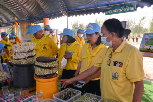 มรท. ร่วมกิจกรรมจิตอาสาพัฒนาเนื่องในวันคล้ายวันพระบรมราชสมภพ รัชกาลที่ 9