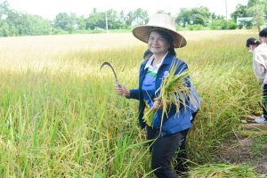 ศูนย์ส่งเสริมการจัดการศึกษาตามพระบรมราโชบาย มรท. จัดโครงการส่งเสริมการนำศาสตร์พระราชาไปใช้ในการดำรงชีวิตให้กับนักศึกษา ปี 1