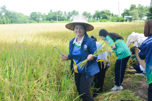 ศูนย์ส่งเสริมการจัดการศึกษาตามพระบรมราโชบาย มรท. จัดโครงการส่งเสริมการนำศาสตร์พระราชาไปใช้ในการดำรงชีวิตให้กับนักศึกษา ปี 1