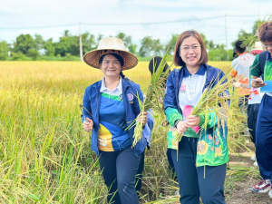 ศูนย์ส่งเสริมการจัดการศึกษาตามพระบรมราโชบาย มรท. จัดโครงการส่งเสริมการนำศาสตร์พระราชาไปใช้ในการดำรงชีวิตให้กับนักศึกษา ปี 1