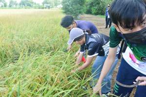 ศูนย์ส่งเสริมการจัดการศึกษาตามพระบรมราโชบาย มรท. จัดโครงการส่งเสริมการนำศาสตร์พระราชาไปใช้ในการดำรงชีวิตให้กับนักศึกษา ปี 1