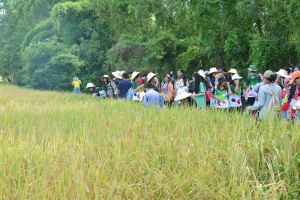 ศูนย์ส่งเสริมการจัดการศึกษาตามพระบรมราโชบาย มรท. จัดโครงการส่งเสริมการนำศาสตร์พระราชาไปใช้ในการดำรงชีวิตให้กับนักศึกษา ปี 1