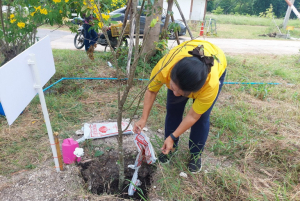 อธิการบดี มรภ.เทพสตรี พร้อมคณะผู้บริหาร บุคลากร และนักศึกษา จัดพิธีถวายพระพรชัยมงคล พระบาทสมเด็จพระเจ้าอยู่หัว เนื่องในโอกาสมหามงคลเฉลิมพระชนมพรรษา 6 รอบ 28 กรกฎาคม 2567