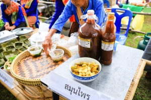 มรภ.เทพสตรี ร่วมกับ เทศบาลตำบลป่าตาล และภาคีเครือข่าย จัดงานเทศกาลโคมลม ครั้งที่ 1
