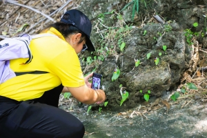 มรภ.เทพสตรี ร่วมลงพื้นที่สำรวจ 1 ใน 4 พืชชนิดใหม่ของโลกในสกุลหยาด 