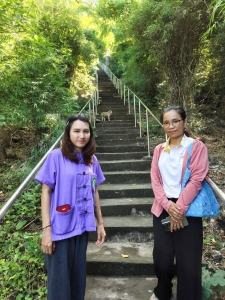 มรภ.เทพสตรี ร่วมลงพื้นที่สำรวจ 1 ใน 4 พืชชนิดใหม่ของโลกในสกุลหยาด 