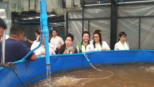 ผู้บริหาร มรภ.เทพสตรี พร้อมด้วย คกก.ส่งเสริมกิจการ มรภ.เทพสตรี ร่วมการประชุมสัมมนา คกก.ส่งเสริมกิจการมหาวิทยาลัยทั่วประเทศ ครั้งที่ 9