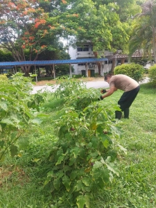 ศูนย์ส่งเสริมการจัดการศึกษาตามพระบรมราโชบาย มรภ.เทพสตรี ย้ำนโยบายผลิตอาหาร/วัตถุดิบ ที่มีการเพาะปลูก/เพาะเลี้ยงสะอาด ปลอดภัย อย่างยั่งยืน
