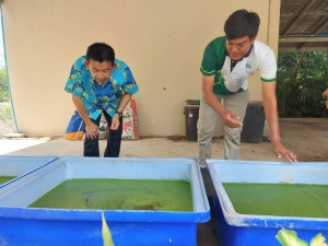 ศูนย์ส่งเสริมการจัดการศึกษาตามพระบรมราโชบาย มรภ.เทพสตรี ย้ำนโยบายผลิตอาหาร/วัตถุดิบ ที่มีการเพาะปลูก/เพาะเลี้ยงสะอาด ปลอดภัย อย่างยั่งยืน