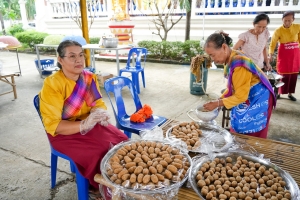 มรภ.เทพสตรี ร่วมโครงการสืบสานประเพณีลอยกระทง บุญผ้าป่าข้าวเม่าทอด ของเทศบาลตำบลป่าตาล